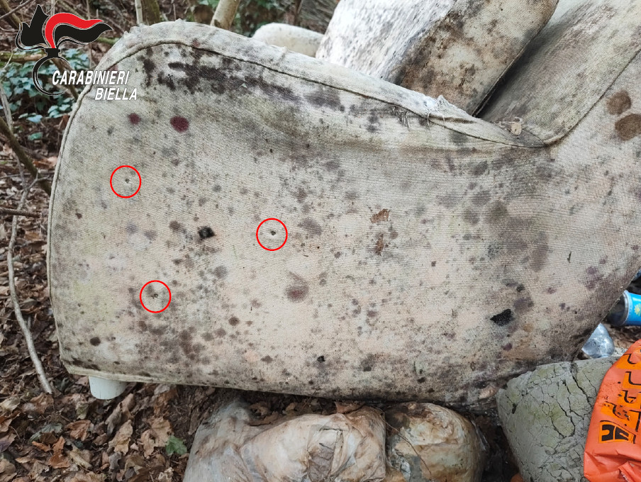 CAVAGLIÀ – Spari illegali nel bosco: individuato il responsabile