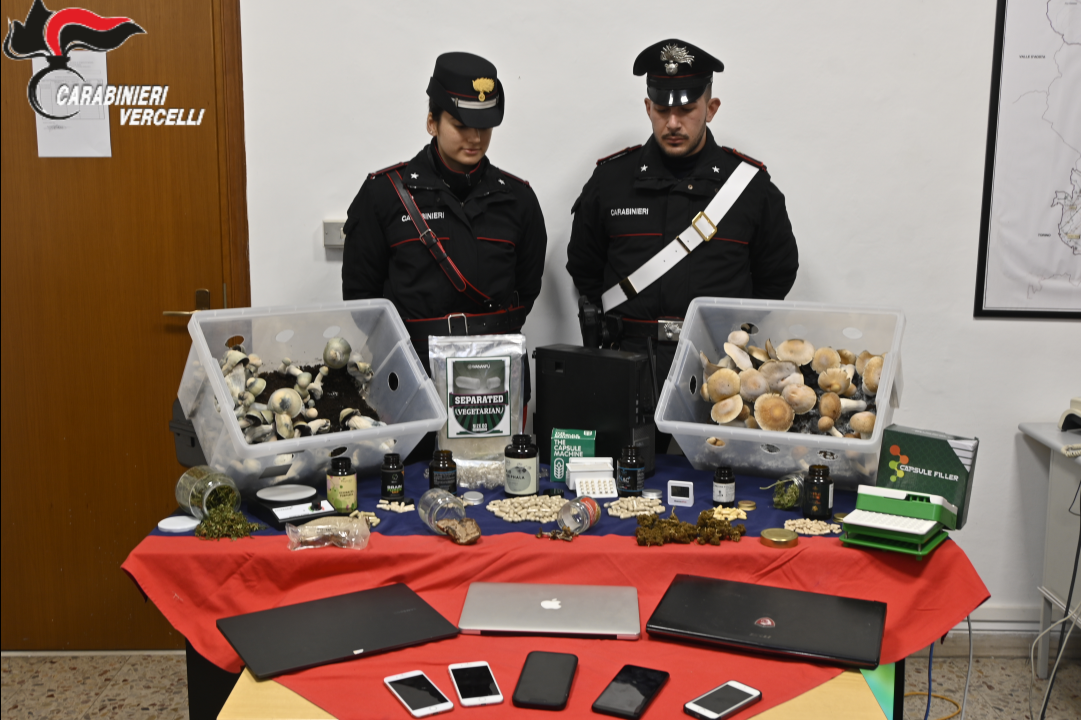 VERCELLI – Sequestrate 220 compresse con psilocibina e funghi allucinogeni